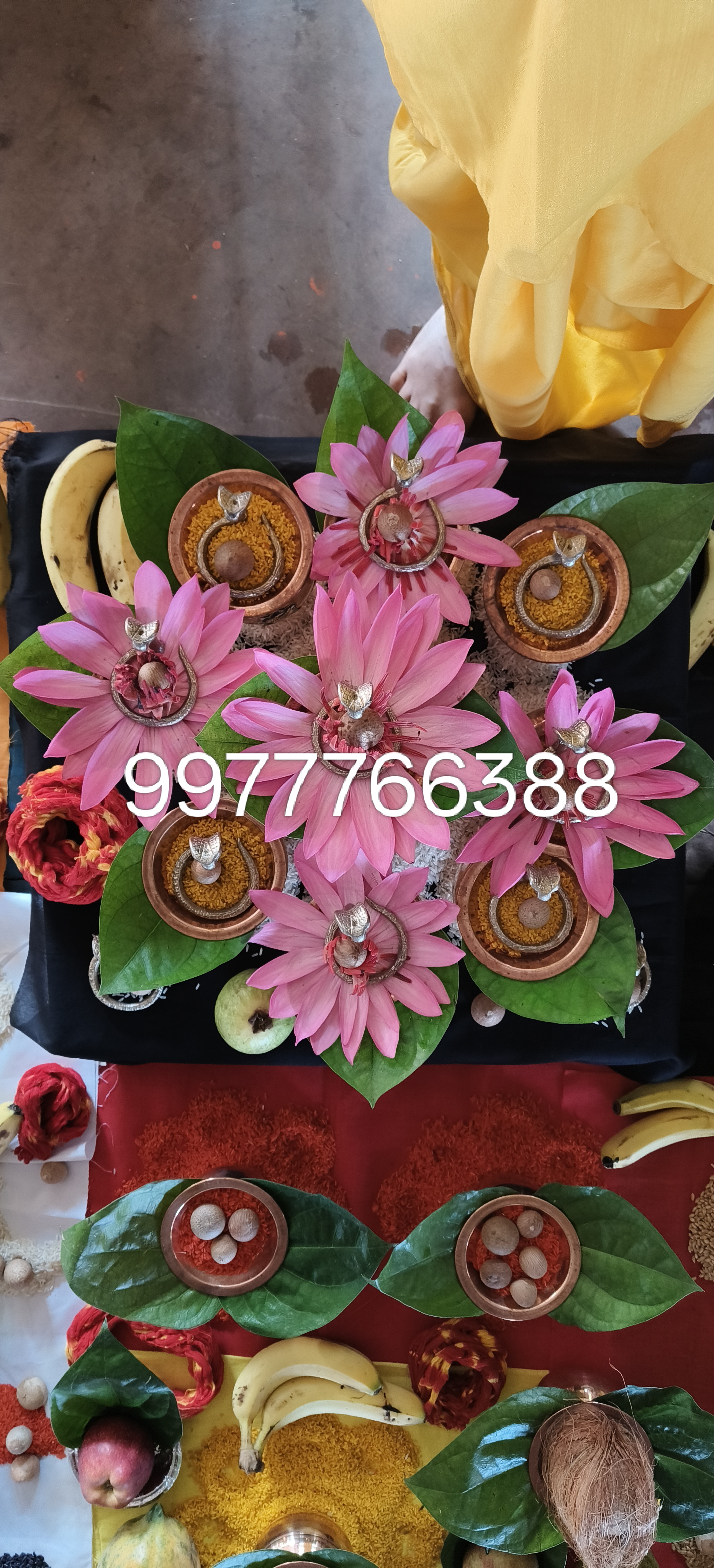 उज्जैन कालसर्प पूजा पूर्ण विधान शांति