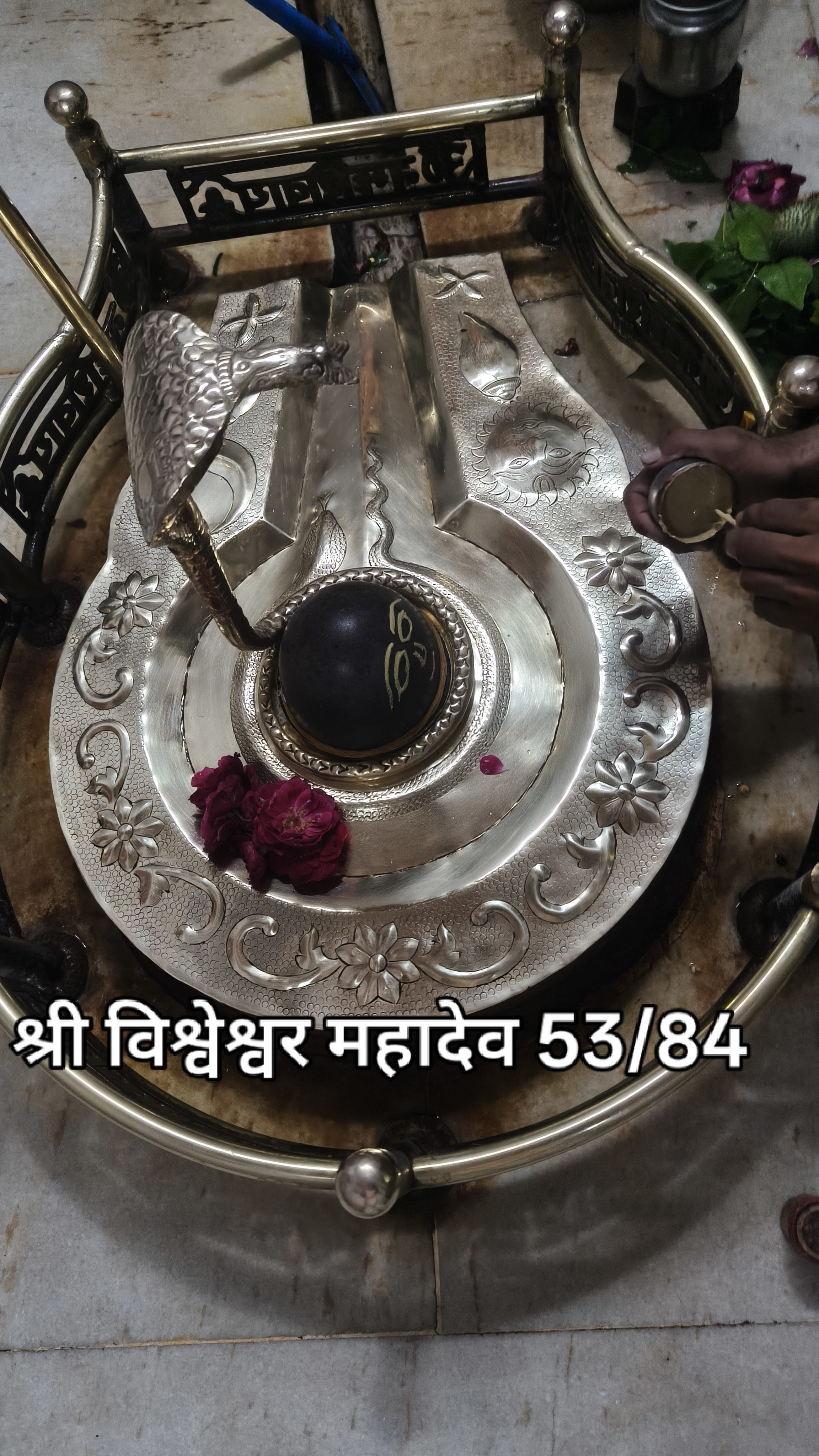 उज्जैन महाकाल की नगरी में 84 महादेव दर्शन